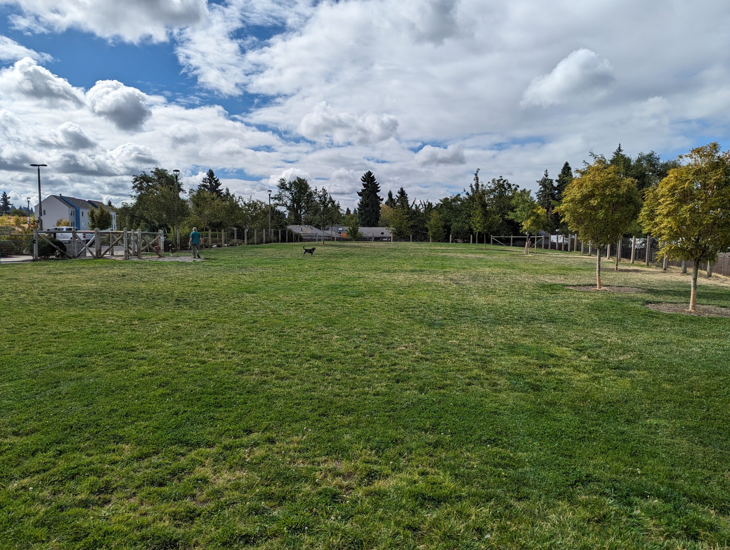 Cully Park fenced off-leash dog park in Northeast Portland, OR