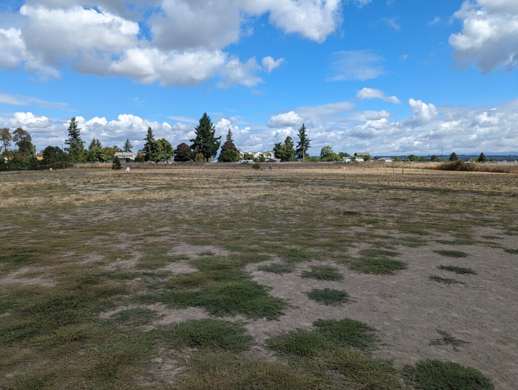 Sacajawea dog park in Portland, OR