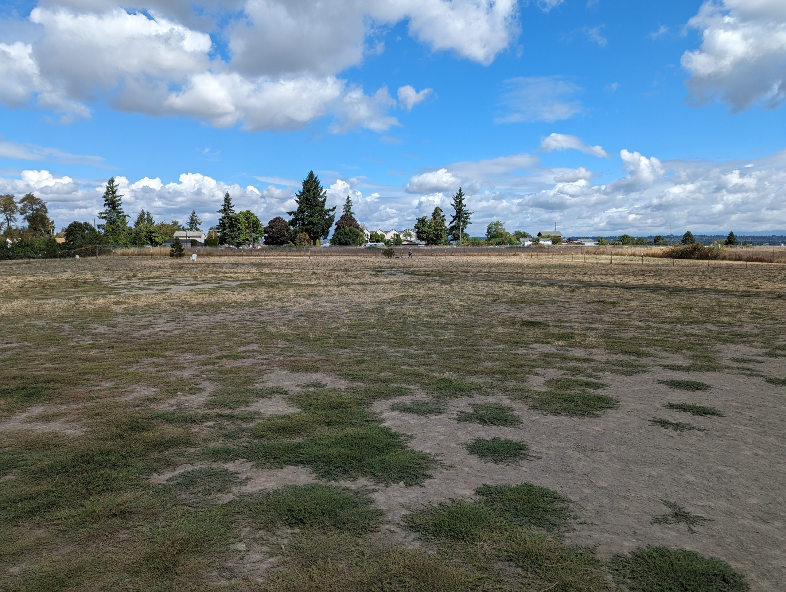 Sacajawea Park fenced off-leash dog park in Northeast Portland, OR