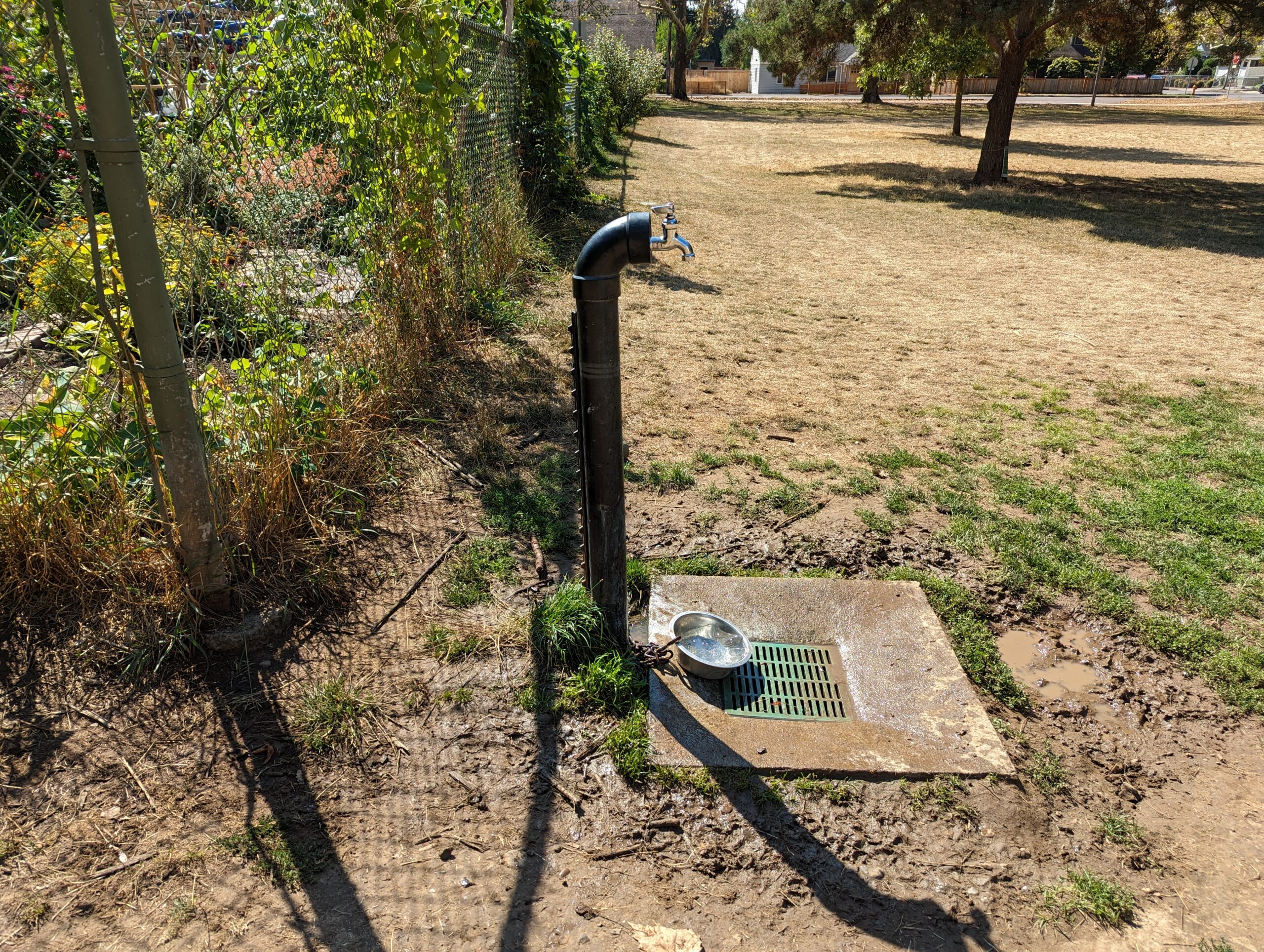 Lents dog park in Southeast Portland