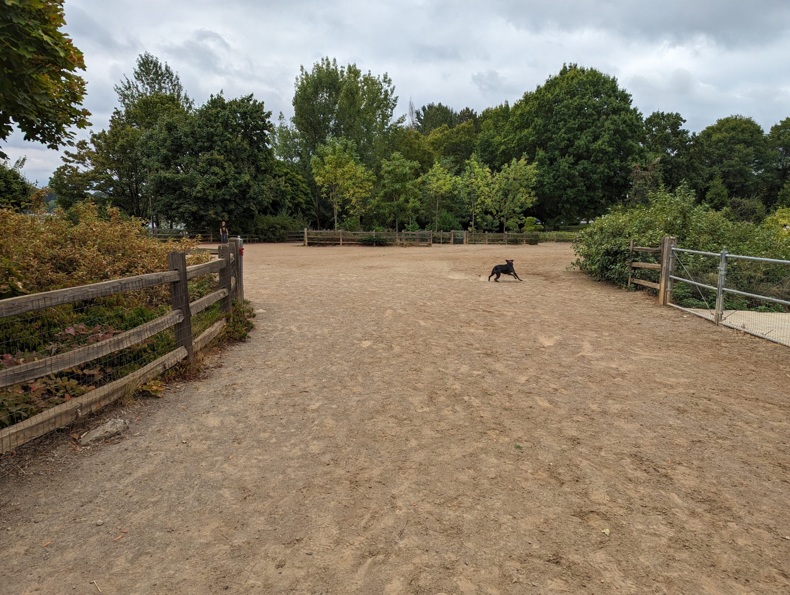 Willamette dog park in Portland, OR