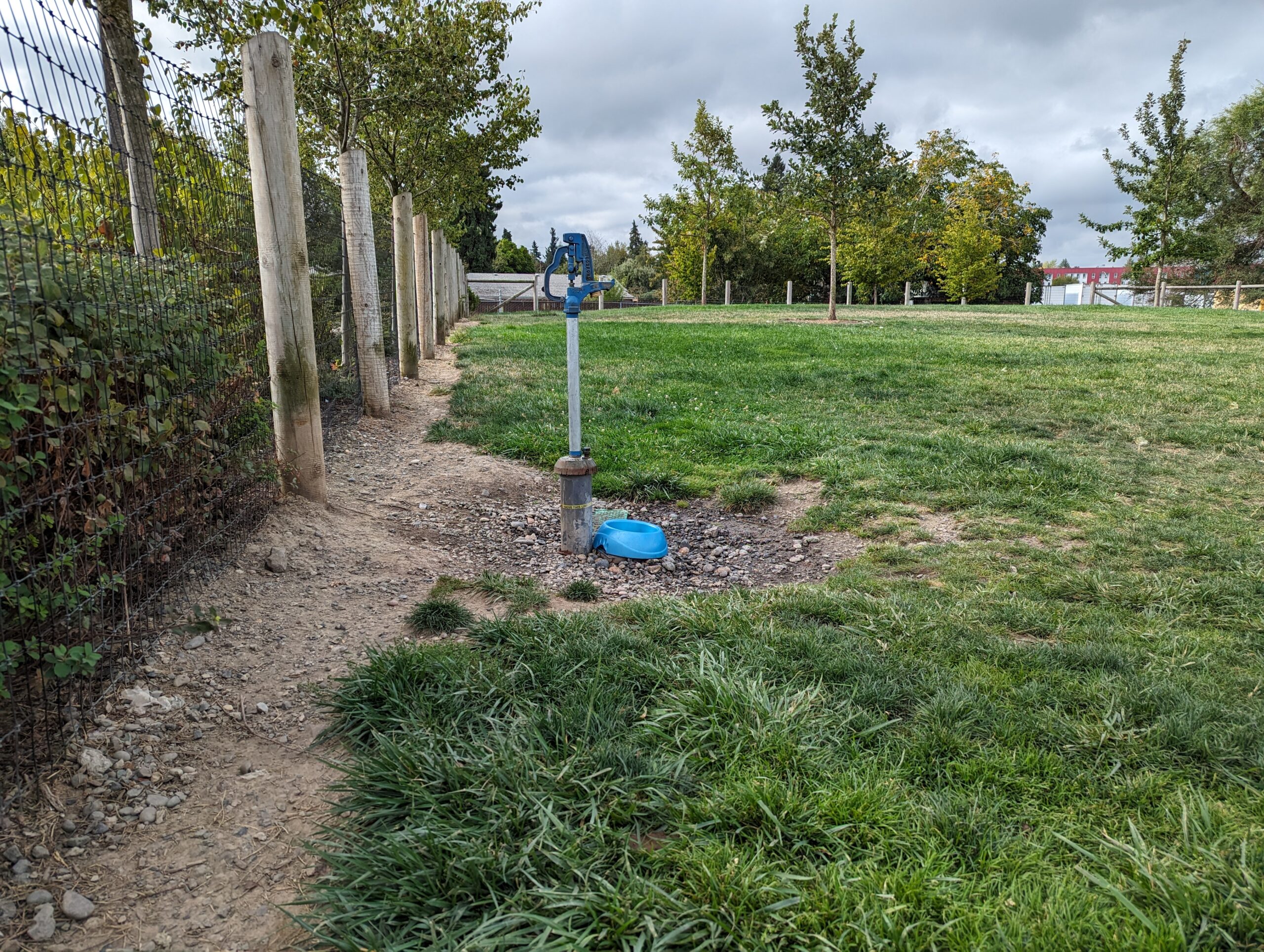 Cully dog park in Northeast Portland