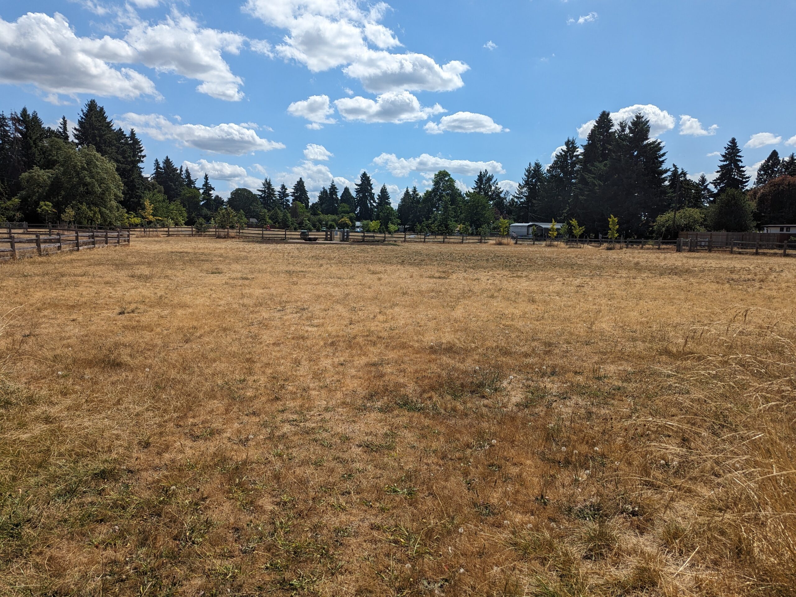 East Holladay Park fenced off-leash dog park in Northeast Portland, OR