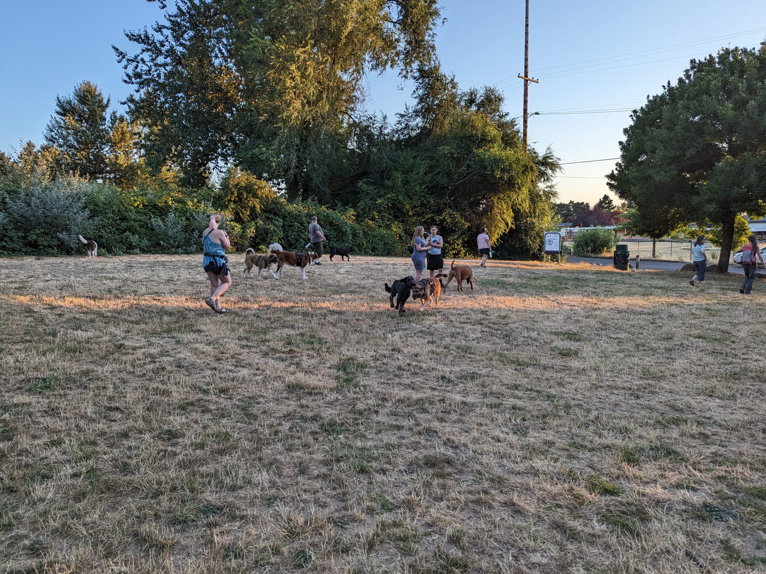 Cherry Park unfenced off-leash dog park in Southeast Portland, OR