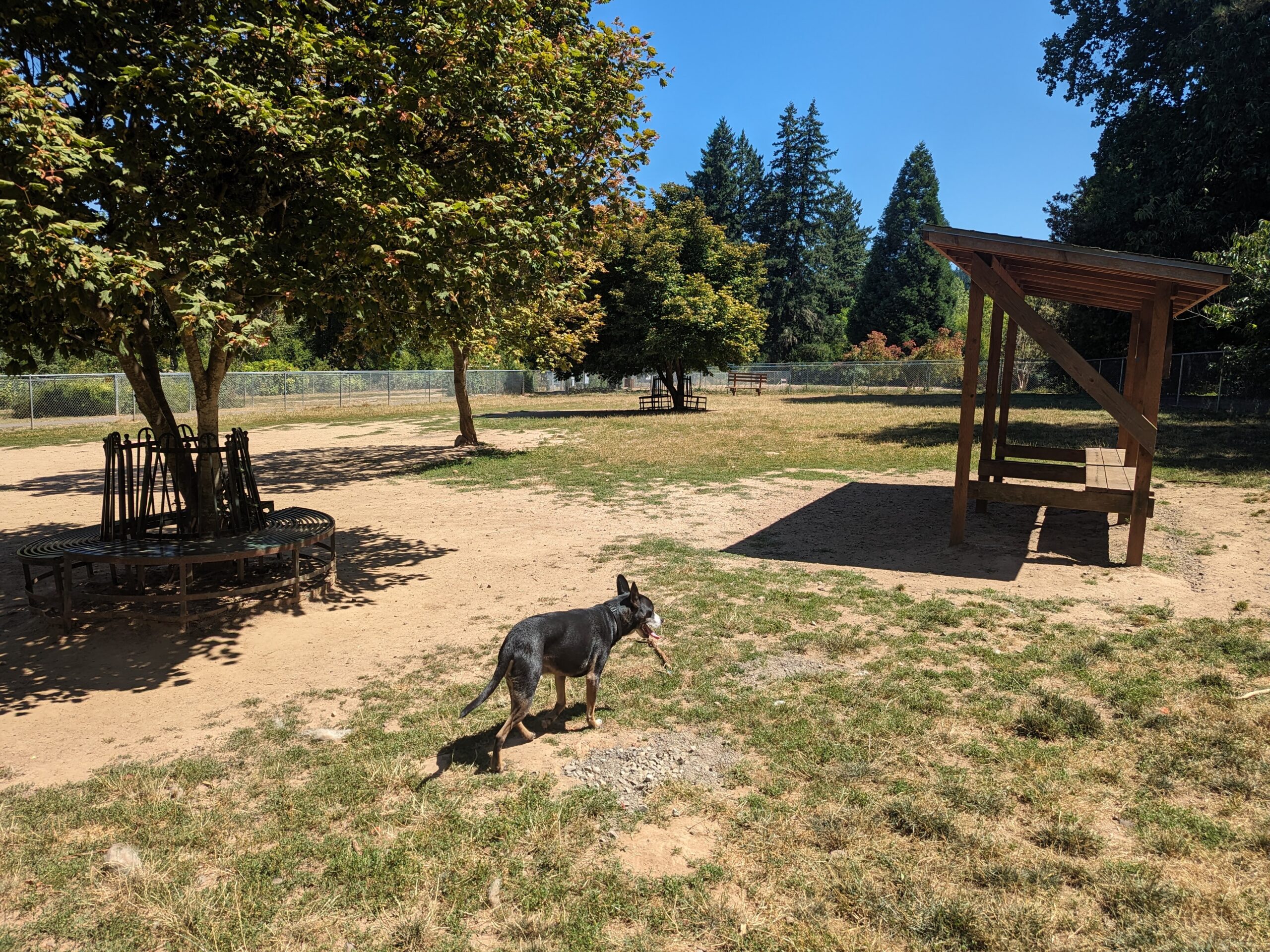 Happy Valley fenced off-leash dog park