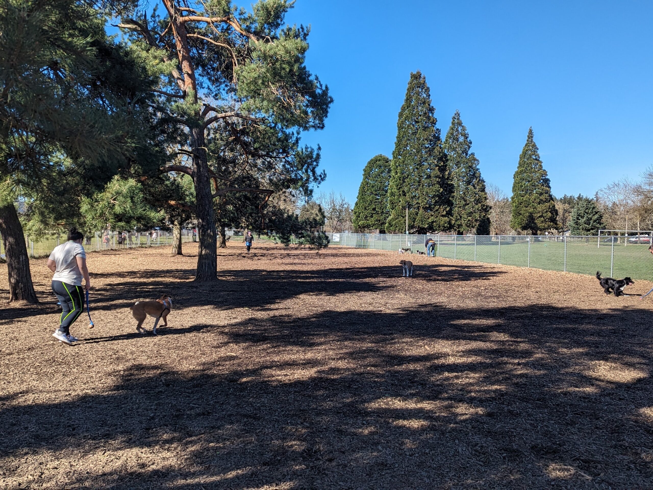 Brentwood Park fenced off-leash dog park in Southeast Portland, OR